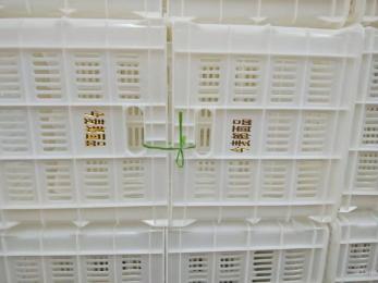 今麥郎、丹尼斯塑料筐